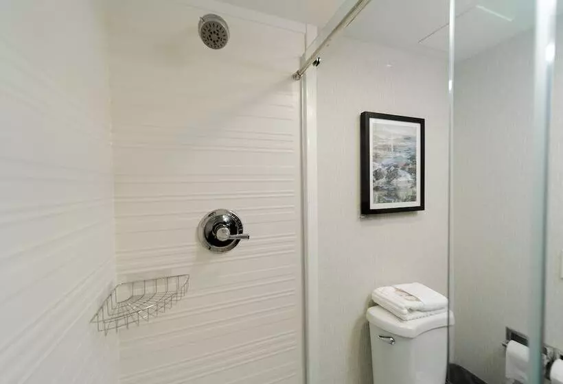 スイート, Comfort Inn & Suites Wyomissing Reading