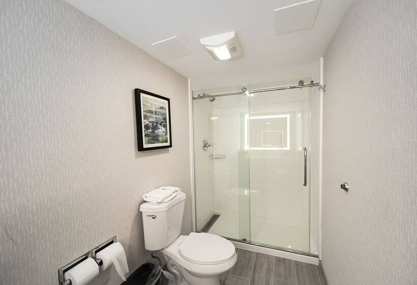 جناح, Comfort Inn & Suites Wyomissing Reading