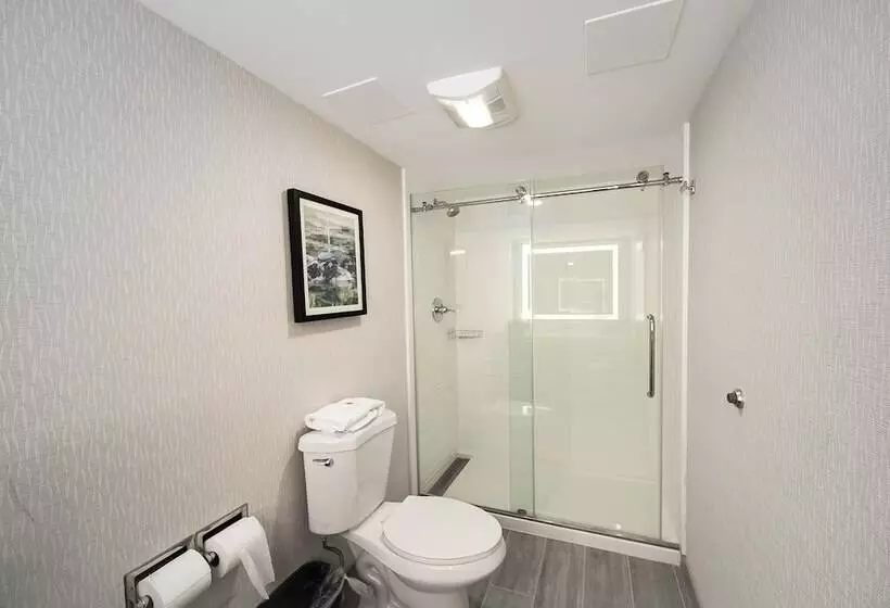 スイート, Comfort Inn & Suites Wyomissing Reading