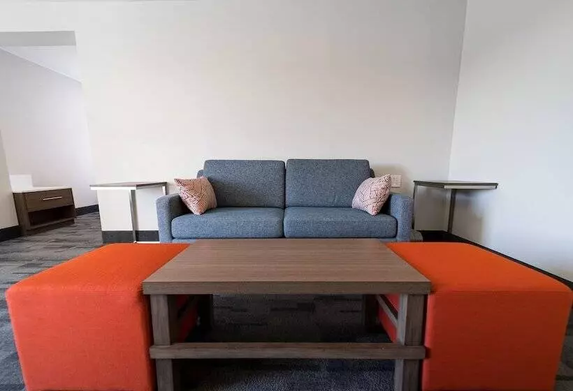 スイート, Comfort Inn & Suites Wyomissing Reading