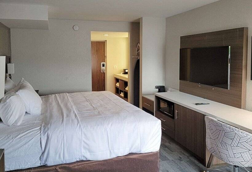 Люкс, Comfort Inn & Suites Wyomissing Reading