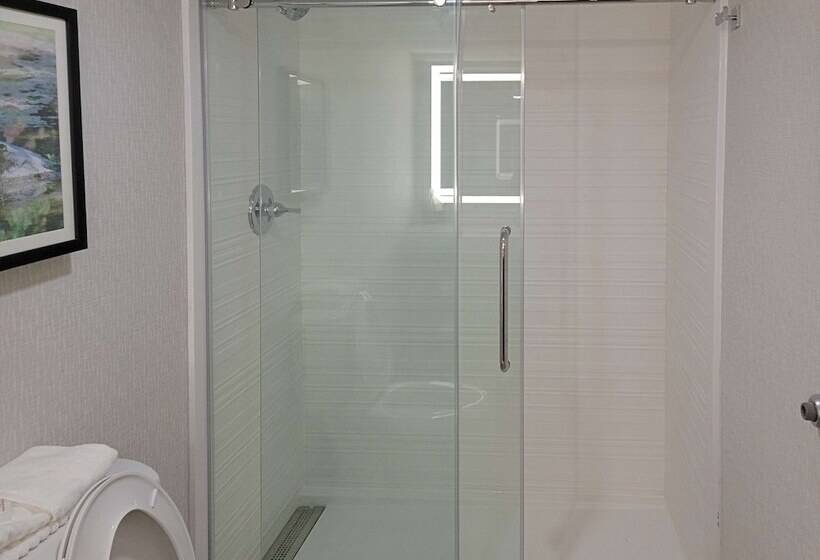 جناح, Comfort Inn & Suites Wyomissing Reading