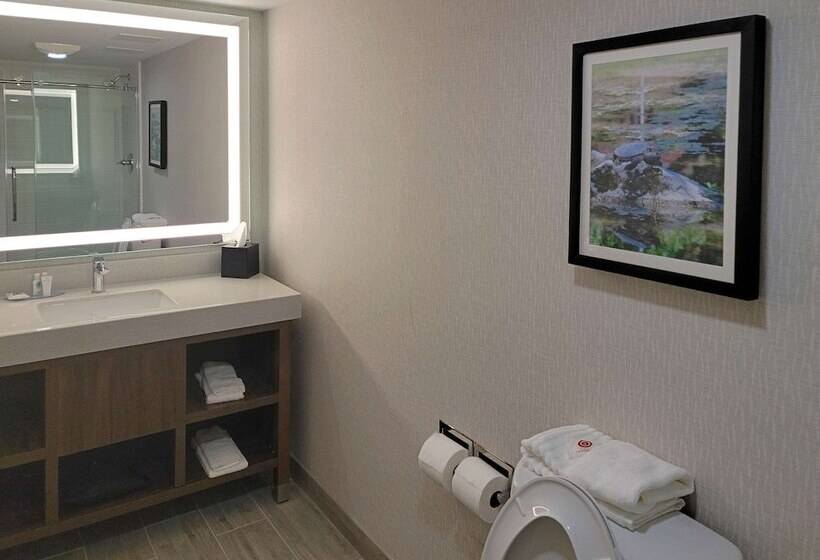 جناح, Comfort Inn & Suites Wyomissing Reading