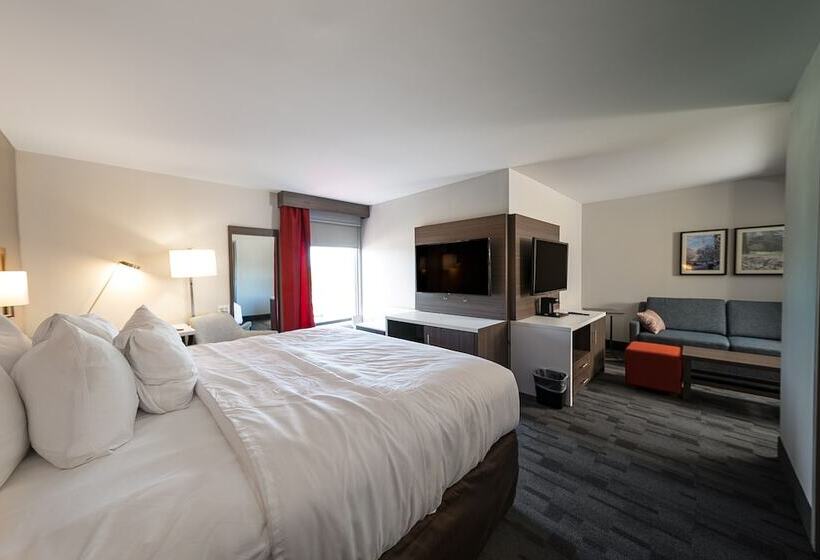 جناح, Comfort Inn & Suites Wyomissing Reading