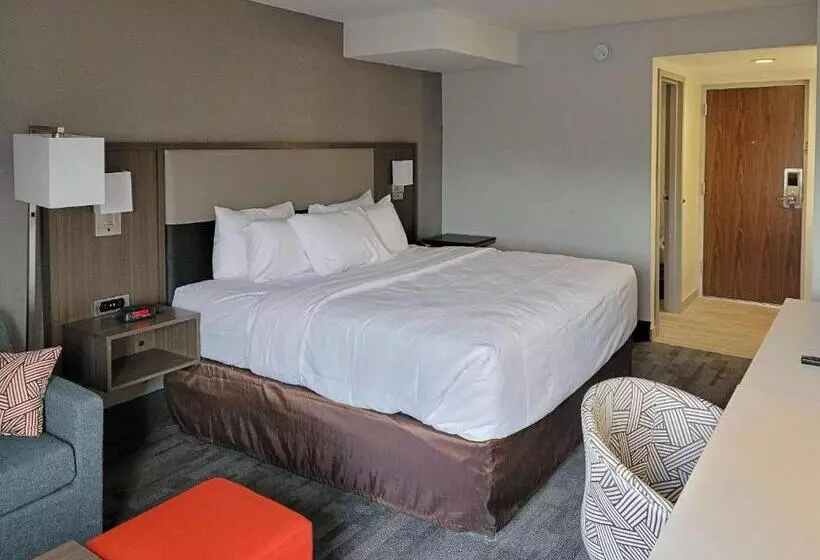 キングサイズベッドのスタンダードルーム, Comfort Inn & Suites Wyomissing Reading
