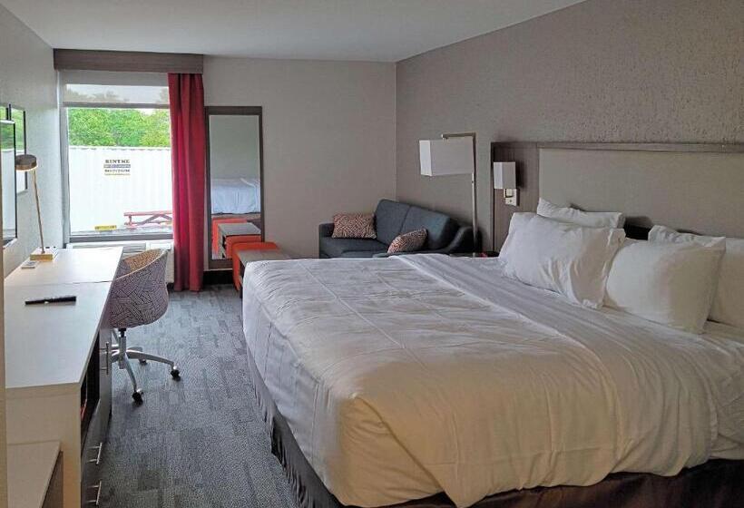 带大床的标准间, Comfort Inn & Suites Wyomissing Reading