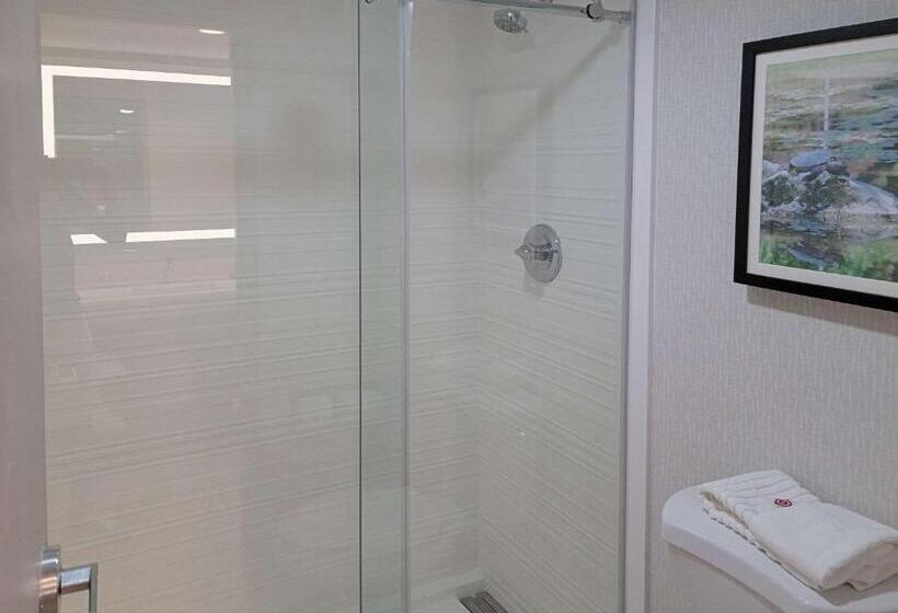 غرفة قياسية سرير كينج, Comfort Inn & Suites Wyomissing Reading