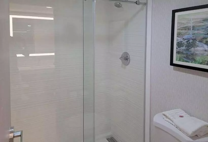 キングサイズベッドのスタンダードルーム, Comfort Inn & Suites Wyomissing Reading