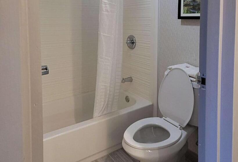 غرفة قياسية سرير كينج, Comfort Inn & Suites Wyomissing Reading