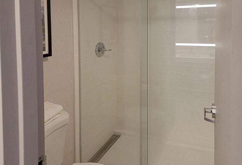 带大床的标准间, Comfort Inn & Suites Wyomissing Reading