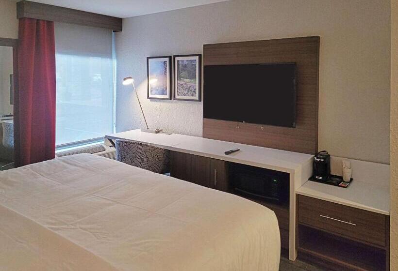 غرفة قياسية سرير كينج, Comfort Inn & Suites Wyomissing Reading