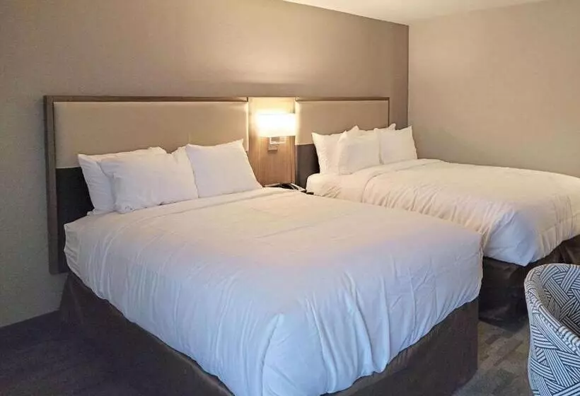 ２ダブルベッドのスタンダードルーム, Comfort Inn & Suites Wyomissing Reading