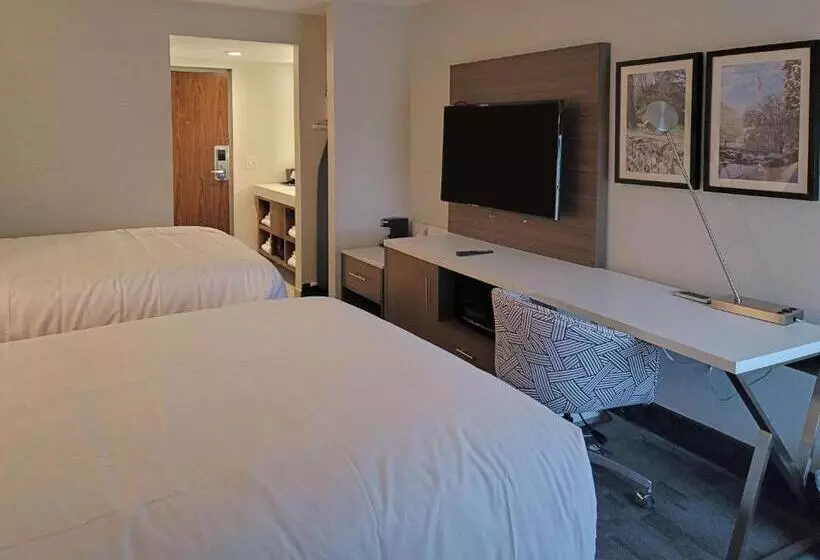 ２ダブルベッドのスタンダードルーム, Comfort Inn & Suites Wyomissing Reading