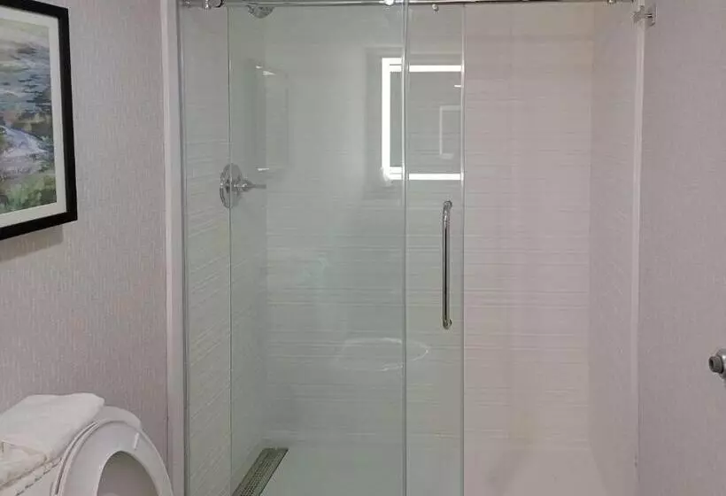 ２ダブルベッドのスタンダードルーム, Comfort Inn & Suites Wyomissing Reading