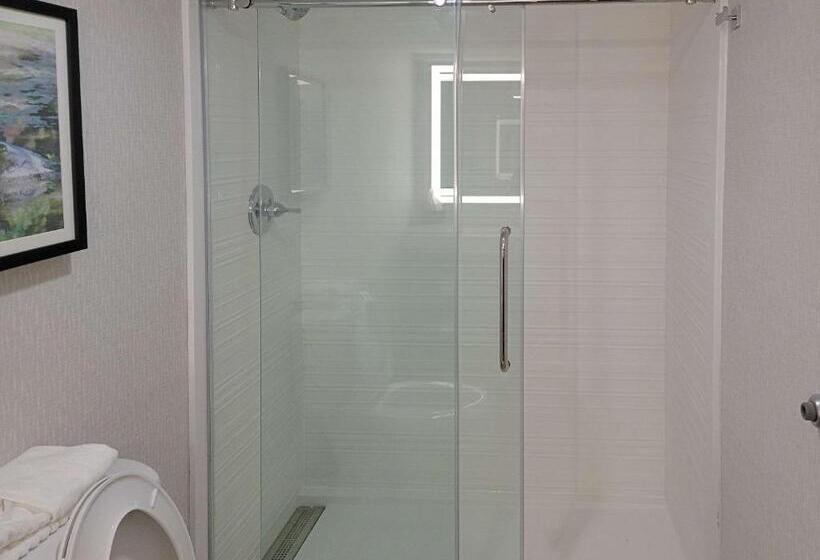 جناح سرير كينج, Comfort Inn & Suites Wyomissing Reading