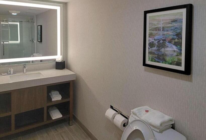带大床的套房, Comfort Inn & Suites Wyomissing Reading