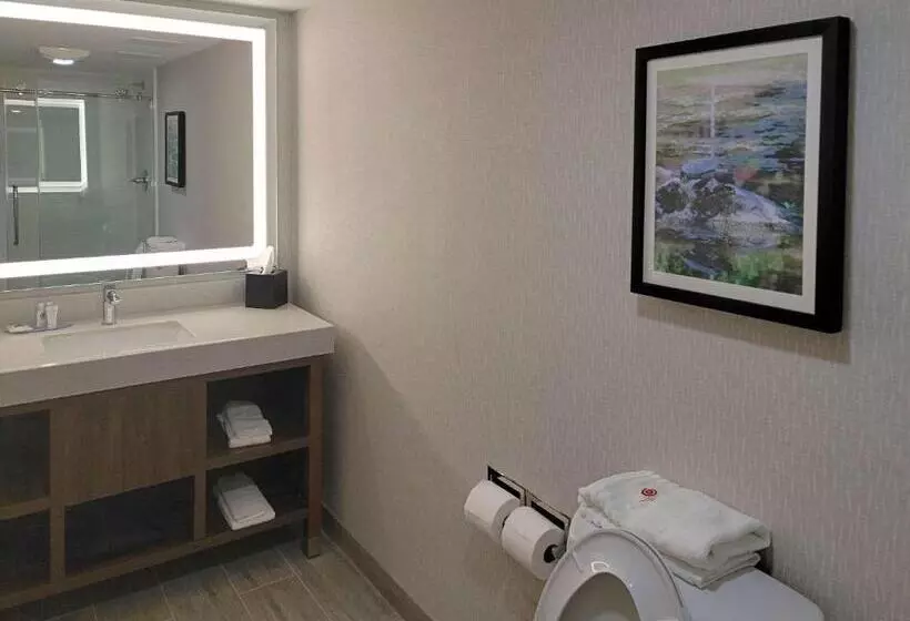 キングサイズベッドのスイートルーム, Comfort Inn & Suites Wyomissing Reading