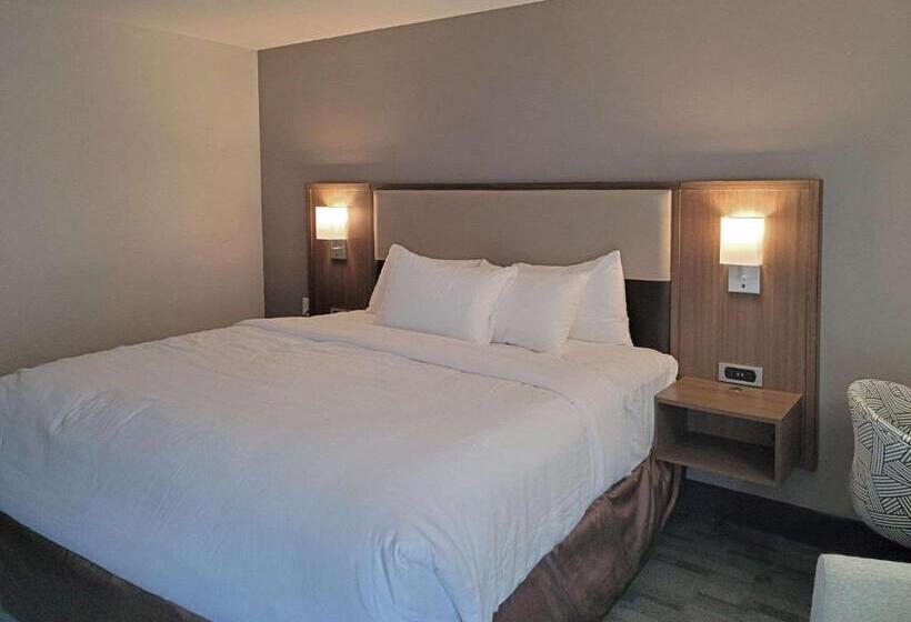 带大床的套房, Comfort Inn & Suites Wyomissing Reading