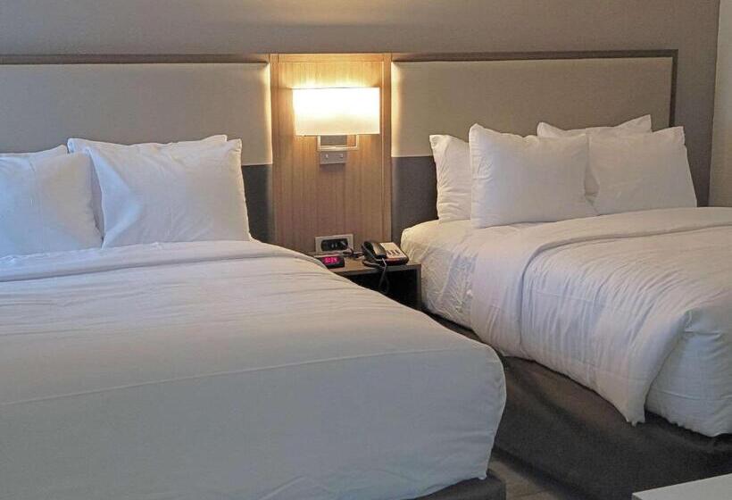 جناح, Comfort Inn & Suites Wyomissing Reading