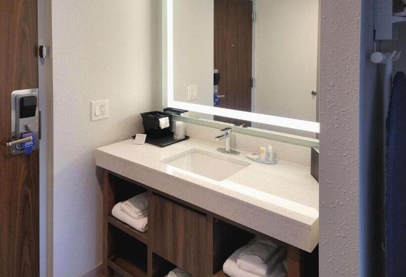 适合残疾人士使用的带超级大床的标准间, Comfort Inn & Suites Wyomissing Reading