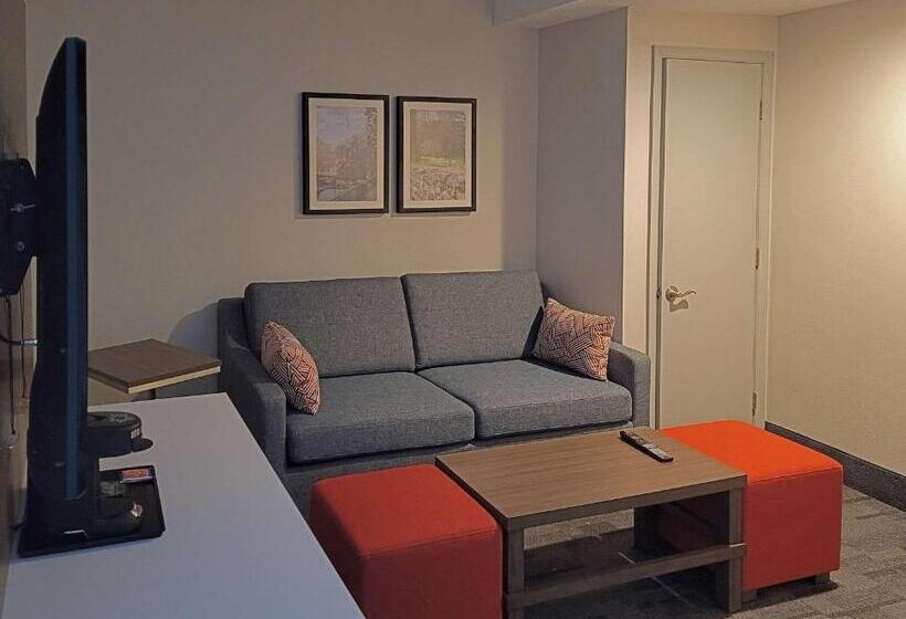 غرفة قياسية سرير كينج لذوى الإحتياجات الخاصة, Comfort Inn & Suites Wyomissing Reading