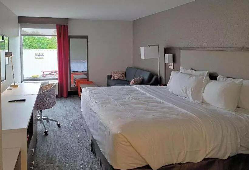 身障者適用キングサイズベッドルーム, Comfort Inn & Suites Wyomissing Reading