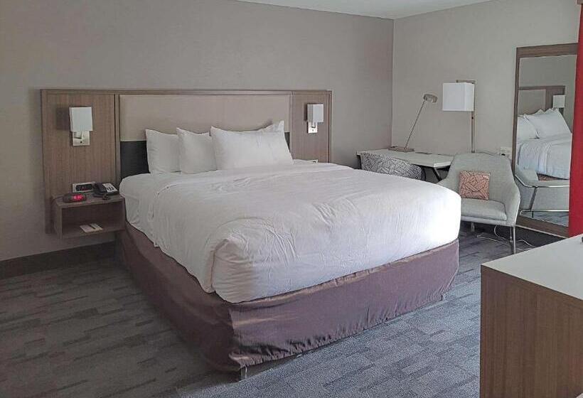 适合残疾人士使用的带超级大床的标准间, Comfort Inn & Suites Wyomissing Reading