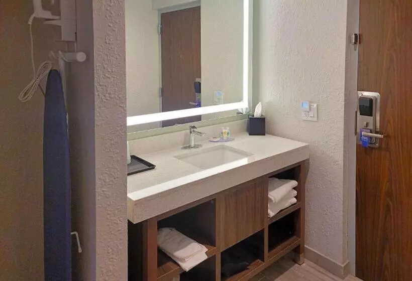 身障者適用スタンダードルーム, Comfort Inn & Suites Wyomissing Reading