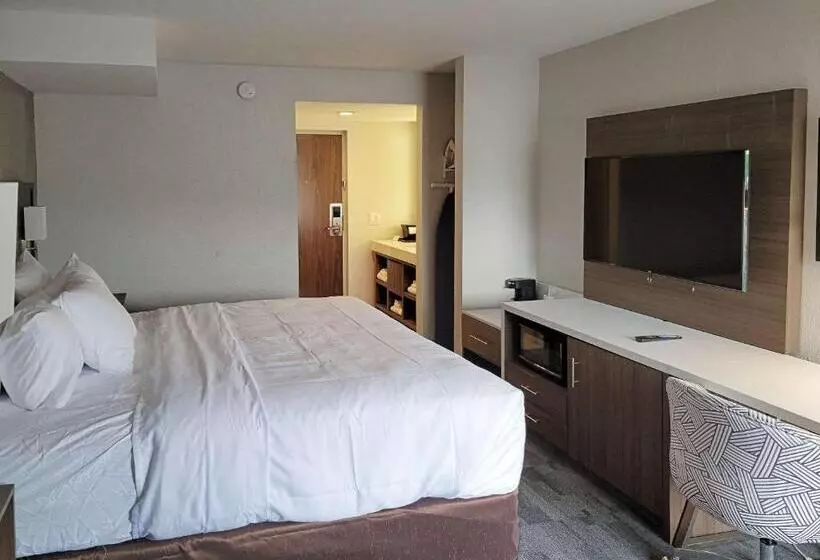 身障者適用スタンダードルーム, Comfort Inn & Suites Wyomissing Reading