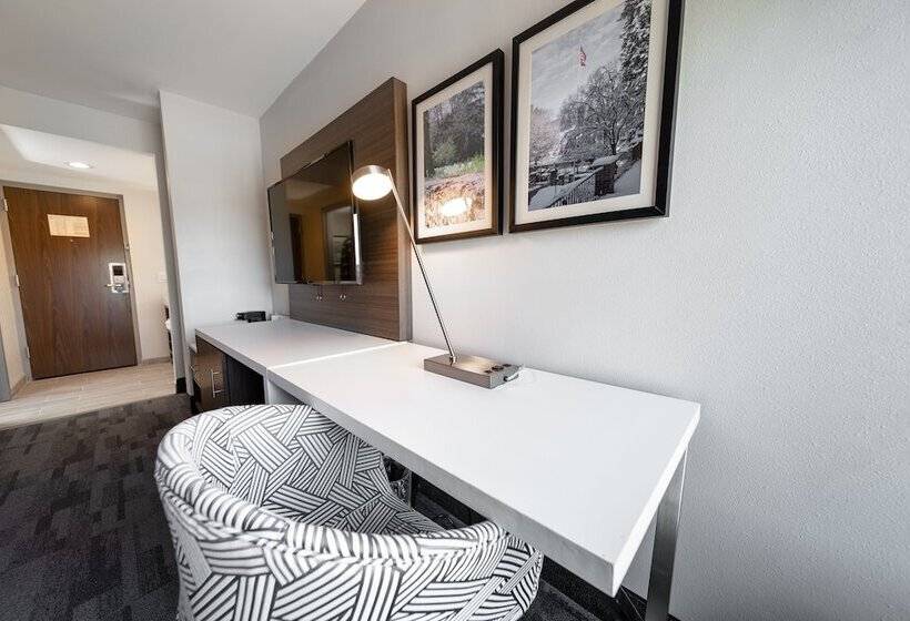 غرفه قياسيه سريرين مزدوجين, Comfort Inn & Suites Wyomissing Reading