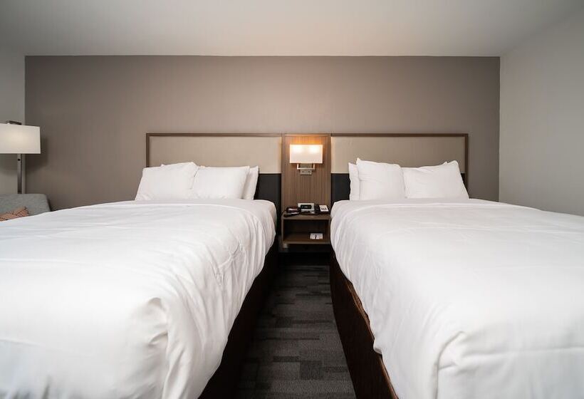 غرفه قياسيه سريرين مزدوجين, Comfort Inn & Suites Wyomissing Reading