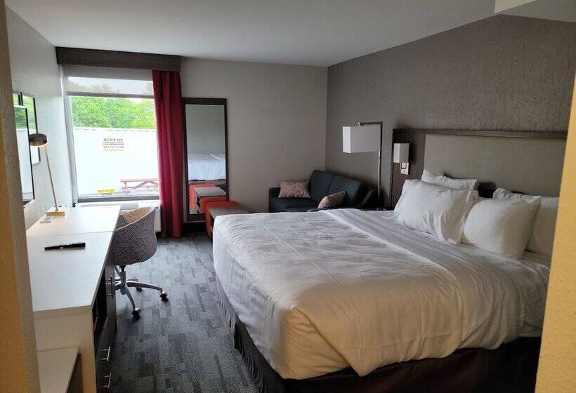 جناح, Comfort Inn & Suites Wyomissing Reading