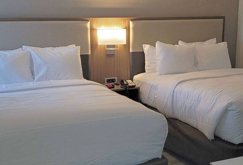 Люкс, Comfort Inn & Suites Wyomissing Reading