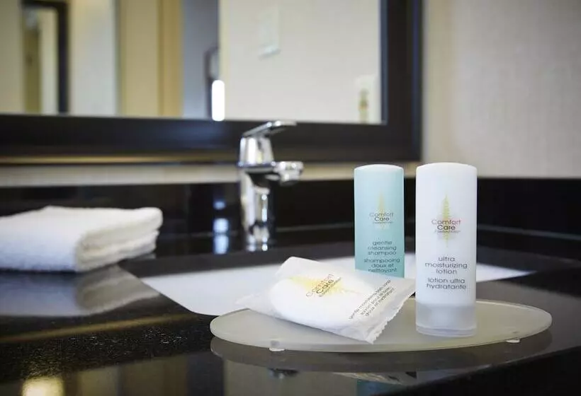 Deluxe-huone, Comfort Inn Thetford Mines