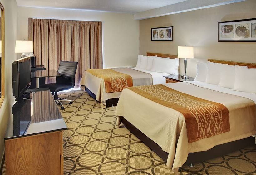 ２ダブルベッドのスタンダードルーム, Comfort Inn