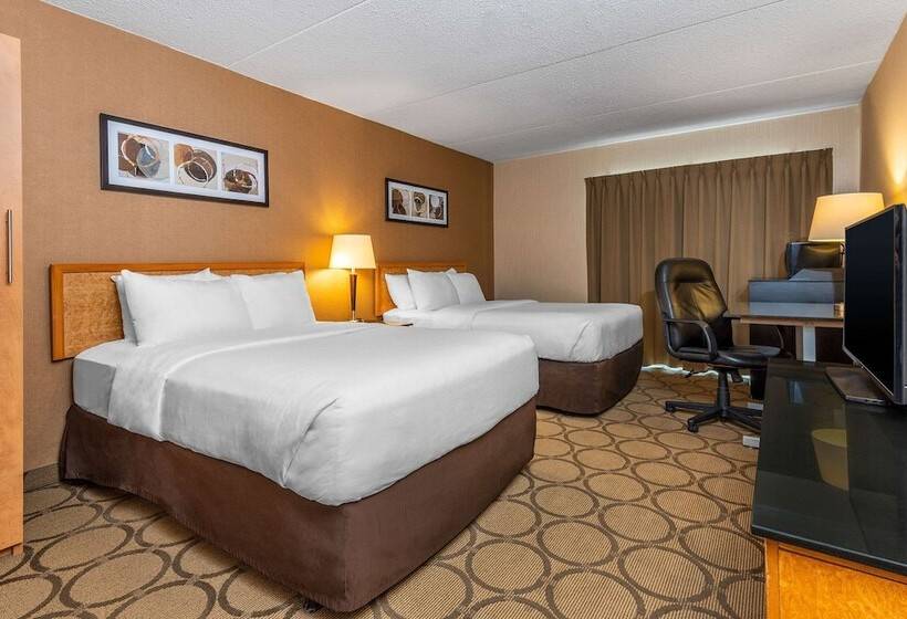 ２ダブルベッドのスタンダードルーム, Comfort Inn