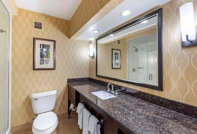 スイート, Comfort Suites Chesapeake  Norfolk