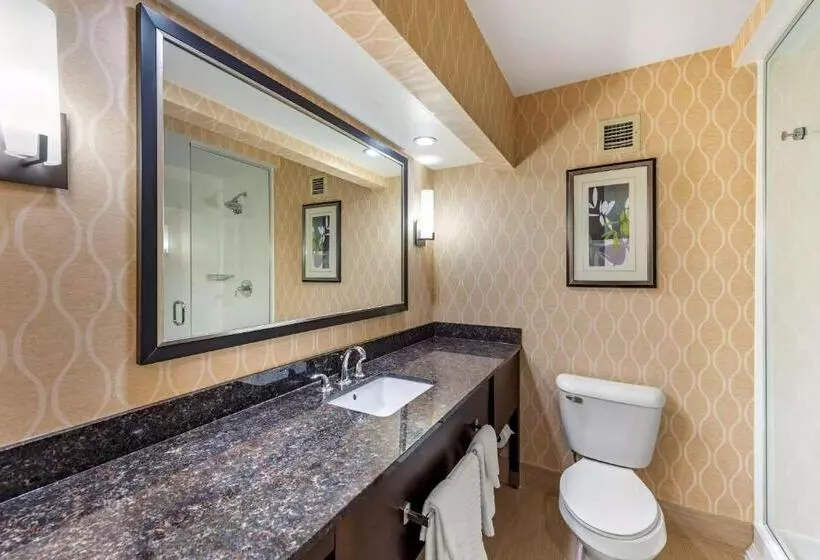 キングサイズベッドのスイートルーム, Comfort Suites Chesapeake  Norfolk