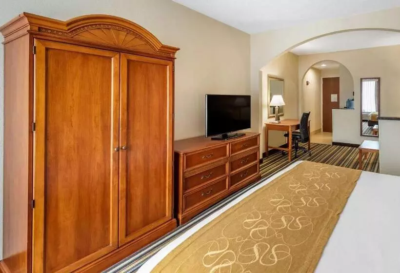 キングサイズベッドのスイートルーム, Comfort Suites Chesapeake  Norfolk