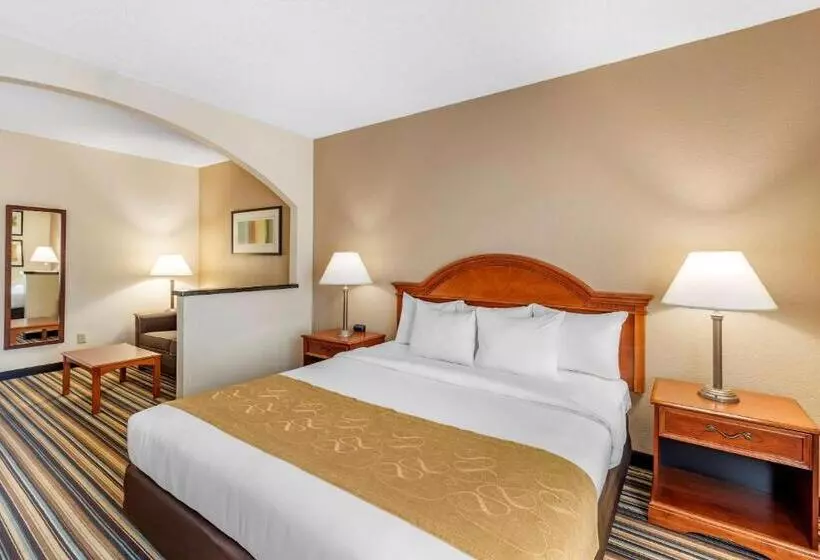 キングサイズベッドのスイートルーム, Comfort Suites Chesapeake  Norfolk