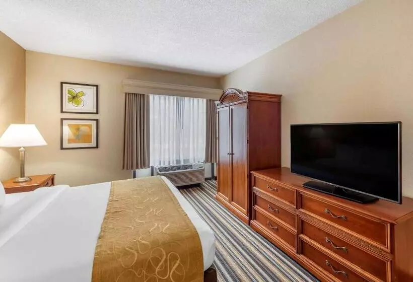 キングサイズベッドのスイートルーム, Comfort Suites Chesapeake  Norfolk