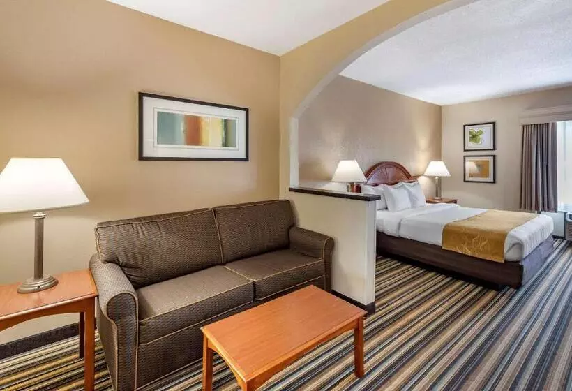キングサイズベッドのスイートルーム, Comfort Suites Chesapeake  Norfolk