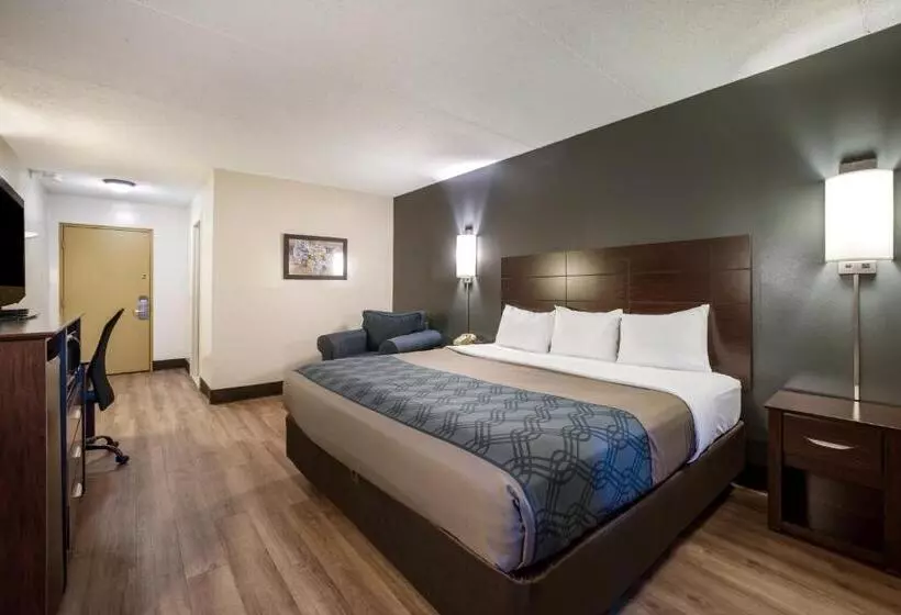 身障者適用キングサイズベッドルーム, Econo Lodge Darien Lakes