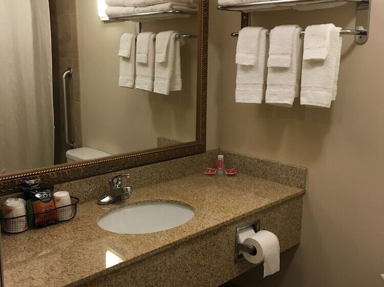 带2个双人床的标准工作室, Econo Lodge Darien Lakes