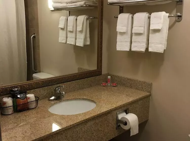 ２ダブルベッドのスタンダードルーム, Econo Lodge Darien Lakes