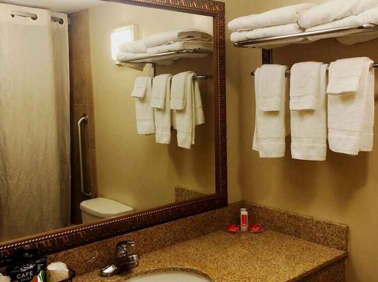 ２ダブルベッドのスタンダードルーム, Econo Lodge Darien Lakes