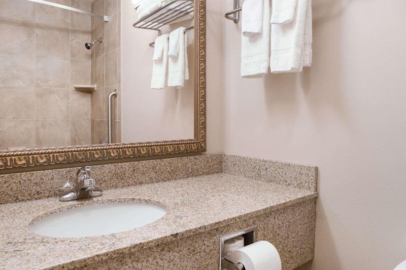 Büyük Çift Kişilik Yataklı Standart Oda, Econo Lodge Darien Lakes