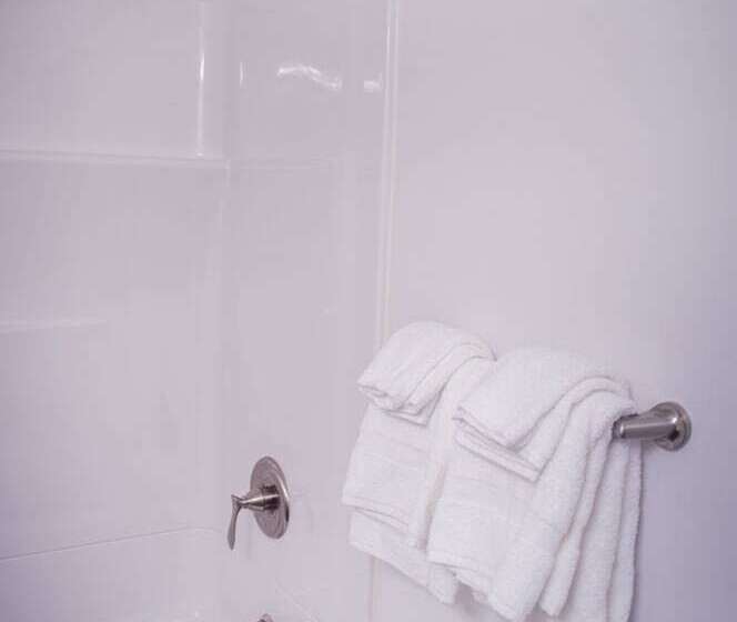 套房, Econo Lodge Inn & Suites South