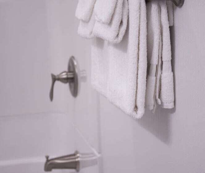 豪华房间, Econo Lodge Inn & Suites South