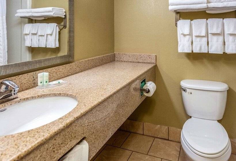 Номер Стандарт 2 Двуспальные Кровати, Quality Inn & Suites